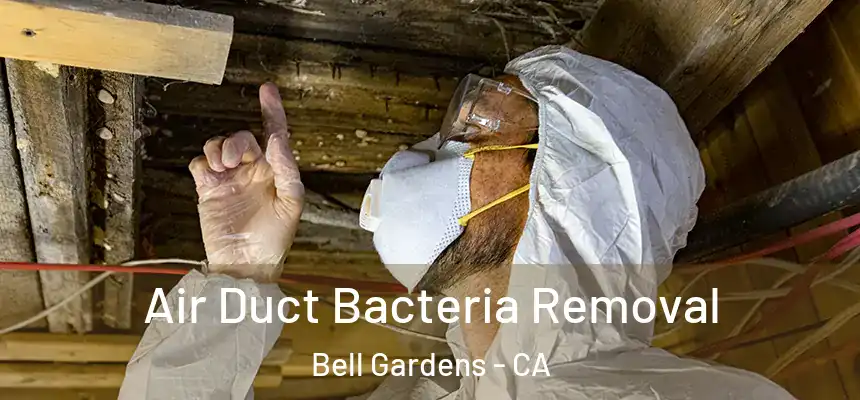  Air Duct Bacteria Removal Bell Gardens - CA