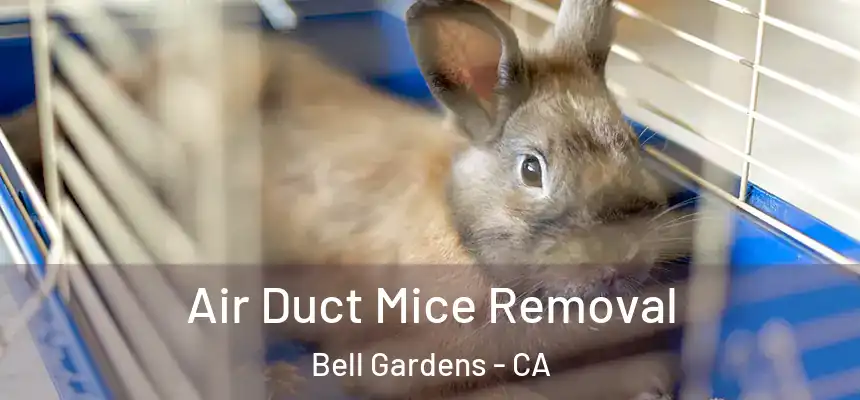  Air Duct Mice Removal Bell Gardens - CA
