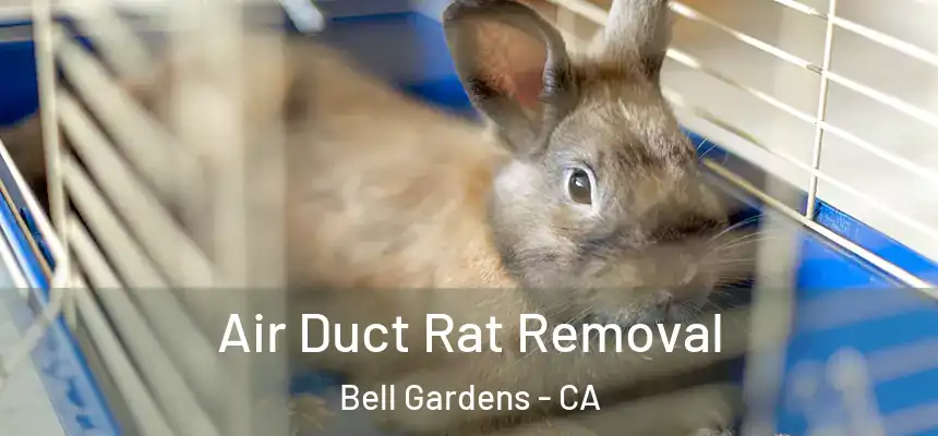  Air Duct Rat Removal Bell Gardens - CA