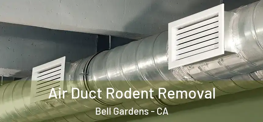  Air Duct Rodent Removal Bell Gardens - CA