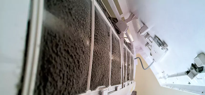 Preventive Air Duct Bacteria Removal in Bell Gardens