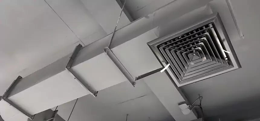 Our Pest Removal From Ducts Services in Bell Gardens, CA