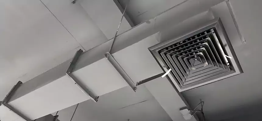 Our Rodent Droppings In Vents Services in Bell Gardens, CA