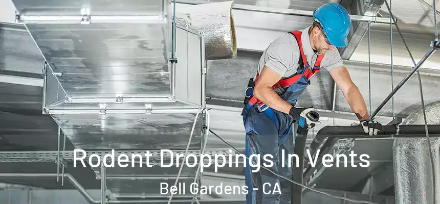  Rodent Droppings In Vents Bell Gardens - CA
