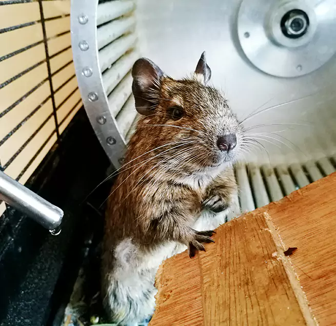 Why Homeowners & Businesses Trust Us Bell Gardens, CA?